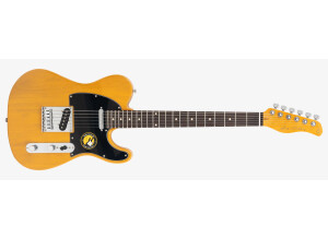 Sire Larry Carlton T3 New Gen