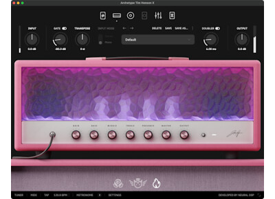 Neural DSP Archetype: Tim Henson X