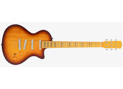 Sire Larry Carlton I5L