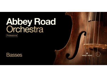 Spitfire Audio Abbey Road Orchestra: Basses Professional