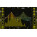 Voir la photo du Acustica Audio Lime 3 Acustica Audio Lime 3