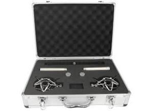 Mic & Mod M84 Stereo Microphone Kit