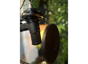Stam Audio Engineering SA-800G