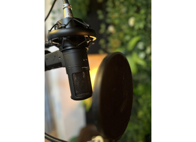 Stam Audio Engineering SA-800G
