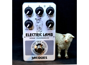 Jacques Stompboxes Electric Lamb
