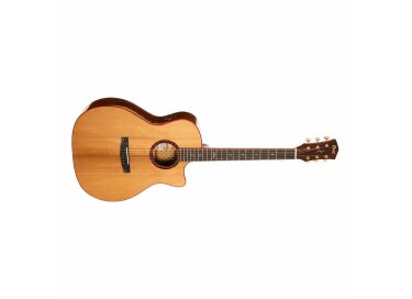 Cort Gold-A10 Cocobolo