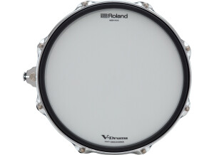 Roland PD-14DSX