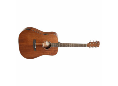 Cort Earth60M (2025)