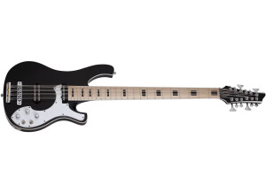 Schecter Stargazer-12 Bass