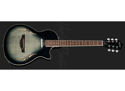 Harley Benton Nashville-Steel