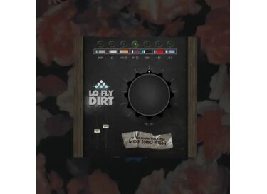 AIR Music Technology Lo-Fly Dirt