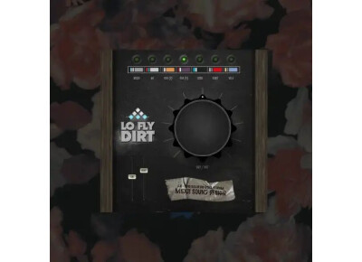 AIR Music Technology Lo-Fly Dirt