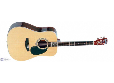 Blueridge BR60