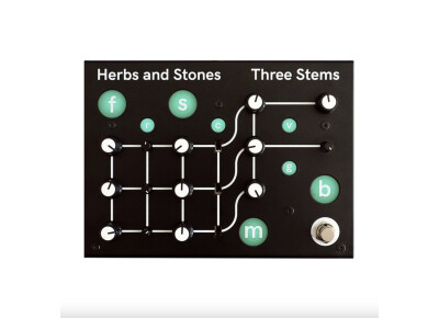 Herbs and Stones Three Stems