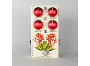 Red Witch Cynosium Modulated Delay