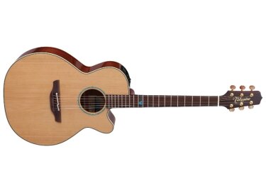 Takamine FSF40C