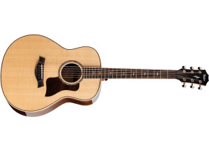 Taylor GT 811