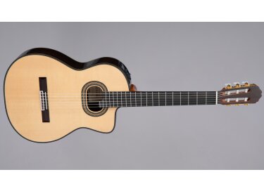 Takamine DH90