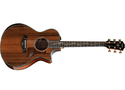Taylor PS12ce Honduran Rosewood
