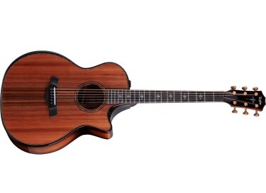 Taylor Builder's Edition 914ce