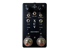 Recovery Effects XCV