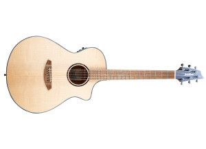 Breedlove Discovery S Concert CE