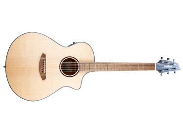 Breedlove Discovery S Concert CE