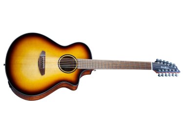 Breedlove Discovery S Concert 12-String CE