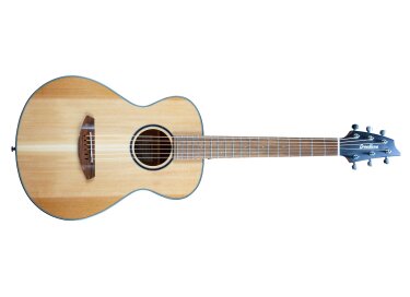 Breedlove Discovery S Companion