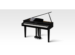 Kawai DG30
