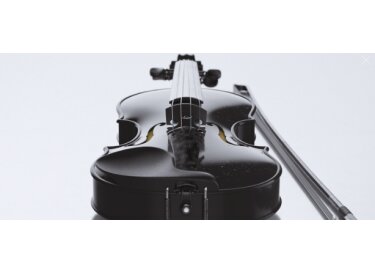 Expressive E VLN 356