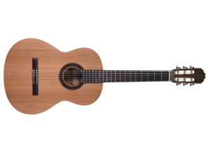 Prodipe Guitars Student 1/2