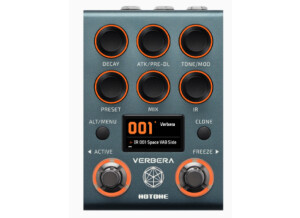 Hotone Audio Verbera