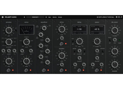 Polarity Audio MixFlow Vocal
