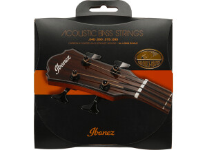 Ibanez IABS4XC Carbon X-Coated 80/20 Bronze Acoustic Bass