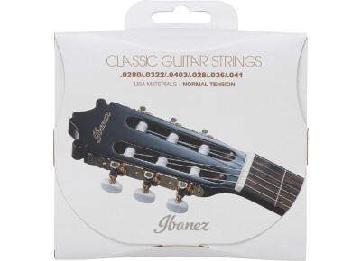 Ibanez ICLS6 Classic Guitar