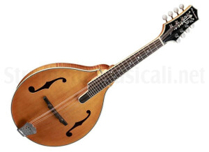 Richwood Guitars RMA-110 A Style