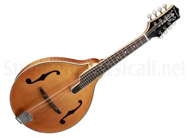 Richwood Guitars RMA-110 A Style