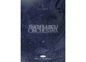 Sonora Cinematic Transfigured Orchestra Vol 1: The Quiet Ensemble