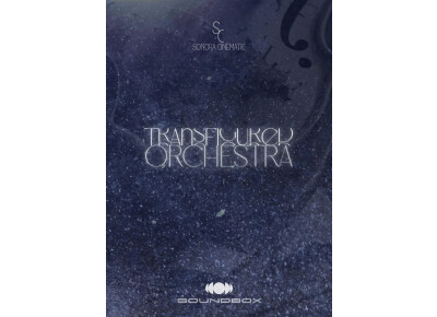 Sonora Cinematic Transfigured Orchestra Vol 1: The Quiet Ensemble