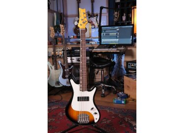 Nordstrand Audio Acinonyx V