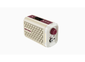 Hotone Audio Pulze Mini