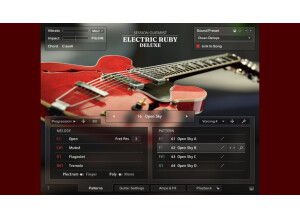 Native Instruments Session Guitarist Electric Ruby Deluxe