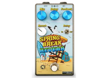 Summer School Electronics Spring Break Reverb