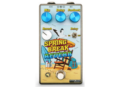 Summer School Electronics Spring Break Reverb