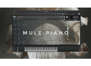 Wrongtools Mule Piano