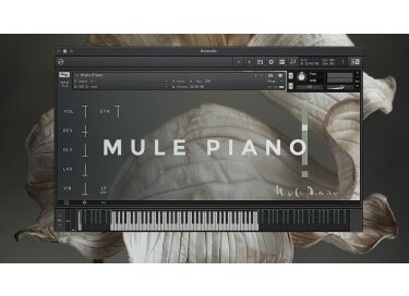 Wrongtools Mule Piano