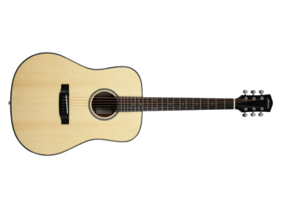Harmony (String Instruments) Terra FS Dreadnought