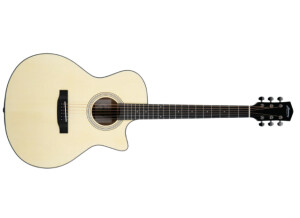 Harmony (String Instruments) Terra GA Cutaway