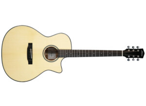 Harmony (String Instruments) Terra FS GA Cutaway